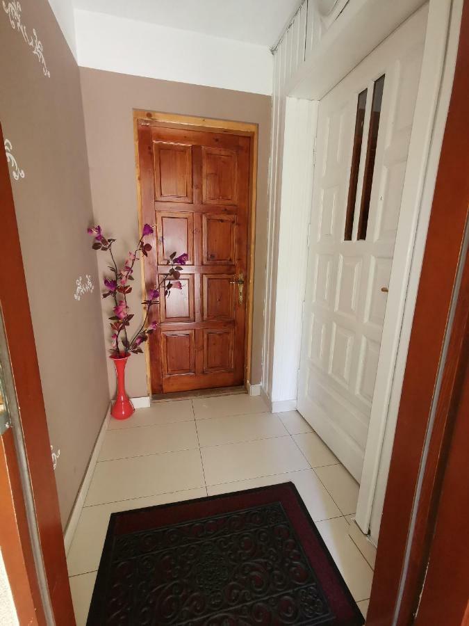 Pokoje Goscinne U Paliderki Poronin Dış mekan fotoğraf